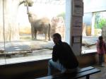 zoo safari