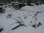 W śniegu 12.02.2010